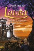 Laura und das Labyrinth des Lichts / Aventerra Bd.6