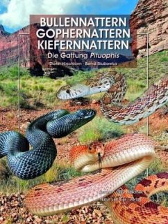 Bullennattern und Kiefernnattern - Hirschkorn, Dieter;Skubowius, Bernd