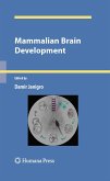 Mammalian Brain Development