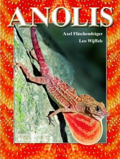 Anolis - Fläschendräger, Axel;Wijffels, Leo