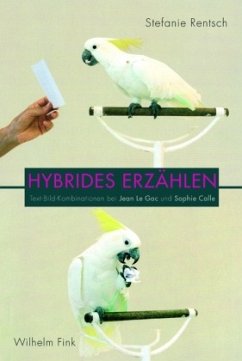 Hybrides Erzählen - Rentsch, Stefanie