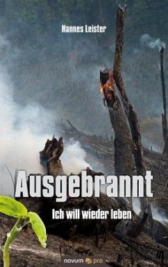 Ausgebrannt - Ich will wieder leben - Leister, Hannes