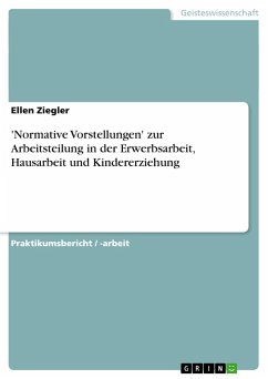 'Normative Vorstellungen' zur Arbeitsteilung in der Erwerbsarbeit, Hausarbeit und Kindererziehung - Ziegler, Ellen