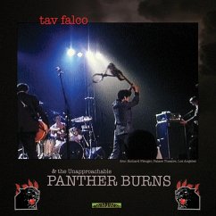 Administrator Blues - Falco,Tav & Panther Burns