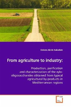 From agriculture to industry: - Nabarlatz, Debora Alcida