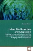 Urban Risk Reduction and Adaptation