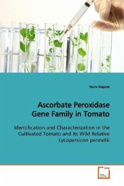 Ascorbate Peroxidase Gene Family in Tomato - Najami, Naim
