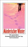 Mörderischer Winter