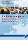 Bachelor bolognese