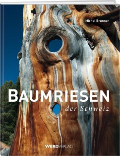 Baumriesen der Schweiz - Brunner, Michel