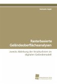 Rasterbasierte Geländeoberflächeanalysen