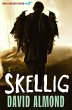 Skellig - Bild 1