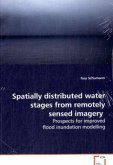 Spatially distributed water stages from remotely sensed imagery