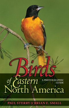 Birds of Eastern North America - Sterry, Paul; Small, Brian E