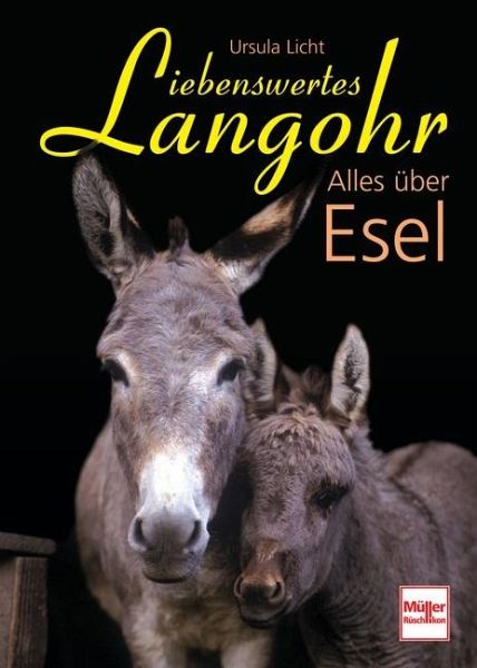 Liebenswertes Langohr Liebenswertes Langohr