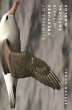 Glimpses of Creatures in Their Physical... - Bild 1
