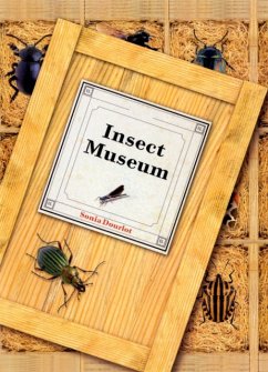 Insect Museum - Dourlot, Sonia