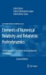 Elements of Numerical Relativity and... - Bild 1