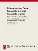 Triosonate c-Moll Triosonate c-Moll