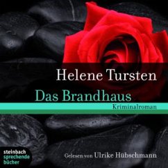 Das Brandhaus / Kriminalinspektorin Irene Huss Bd.8 - Tursten, Helene