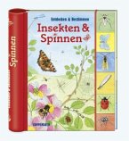 Insekten & Spinnen