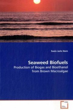 Seaweed Biofuels - Horn, Svein Jarle