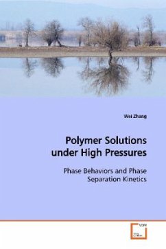 Polymer Solutions under High Pressures - Zhang, Wei