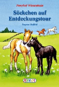 Söckchen auf Entdeckungstour - Hoßfeld, Dagmar