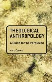 Theological Anthropology