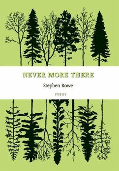Never More There - Rowe, Stephen