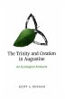 The Trinity and Creation in Augustine - Bild 1