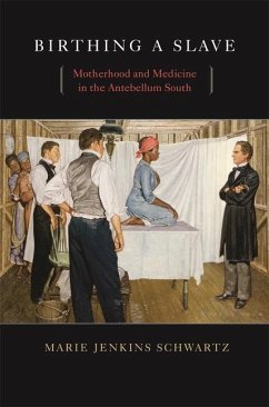 Cover Birthing a Slave