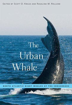 The Urban Whale