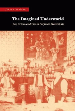 The Imagined Underworld - Garza, James Alex