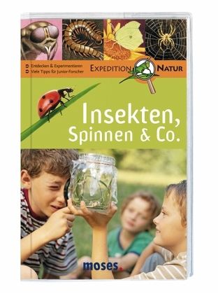 Insekten, Spinnen & Co.