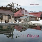 Andrew Phelps, NOT NIIGATA
