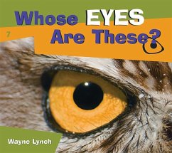 Whose Eyes Are These? - Lynch, Wayne