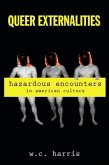 Queer Externalities: Hazardous Encounters in American Culture