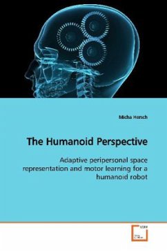 The Humanoid Perspective - Hersch, Micha