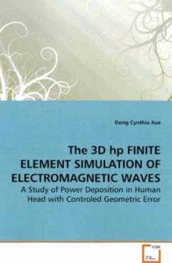 The 3D hp FINITE ELEMENT SIMULATION OF ELECTROMAGNETIC WAVES - Xue, Dong Cynthia