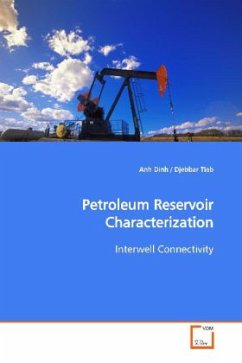 Petroleum Reservoir Characterization - Dinh, Anh