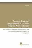 External drivers of biogeochemical cycles in tropical Andean forest: