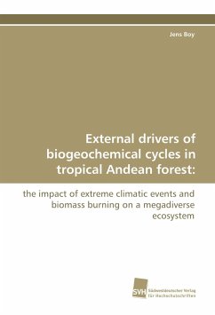 External drivers of biogeochemical cycles in tropical Andean forest: - Boy, Jens