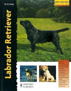Labrador retriever - Duke, Bernard