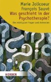 Was geschieht in der Psychotherapie? Was geschieht in der Psychotherapie?