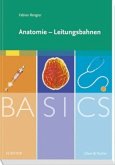 Anatomie - Leitungsbahnen