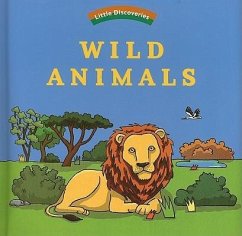 Wild Animals: Little Discoveries - Texier, Ophelie