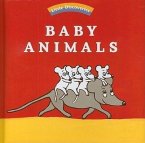 Baby Animals