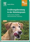 Ernährungsberatung in der Kleintierpraxis