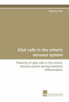 Glial cells in the enteric nervous system - Hoff, Sebastian